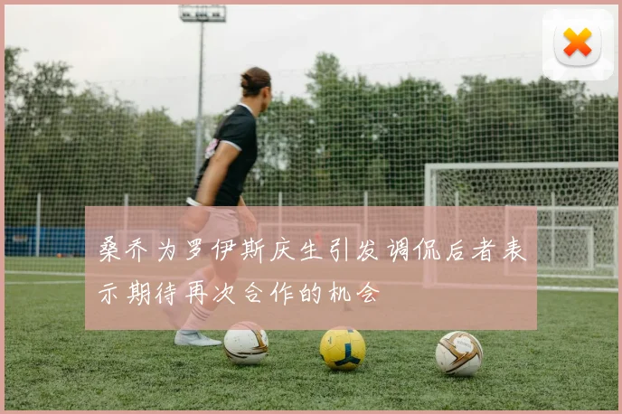 桑乔为罗伊斯庆生引发调侃后者表示期待再次合作的机会