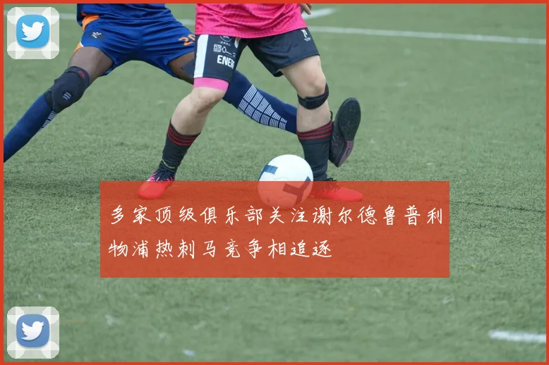 多家顶级俱乐部关注谢尔德鲁普利物浦热刺马竞争相追逐